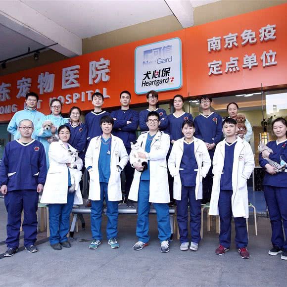 雅东宠物医院(尧化门店):南京市栖霞区尧化门街区附近