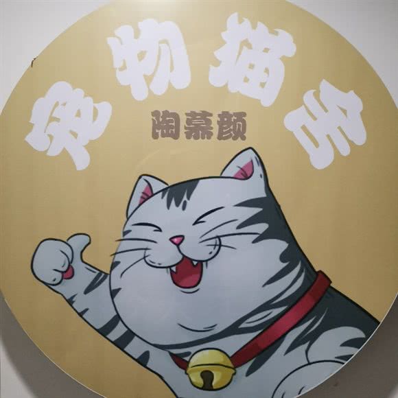 陶慕颜猫咪宠物店:南京市雨花台区虹悦城附近