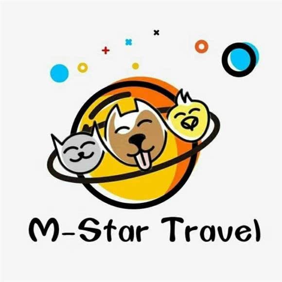 宠物星球宠物火化殡葬活体摄影:南京市雨花台区南京南站/明发附近