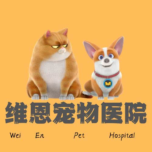 南京维恩宠物医院:南京市雨花台区南京南站/明发附近