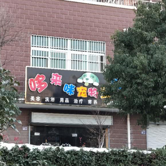 哆来咪宠物生活馆:南京市雨花台区板桥附近