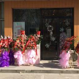 咪噜宠物(江宁店):南京市江宁区岔路口附近