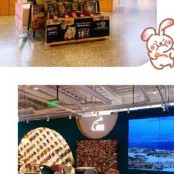 极宠家(江宁百家湖店):南京市江宁区胜太路沿线附近