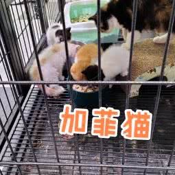 胖哆哆面包店:南京市江宁区东山镇附近