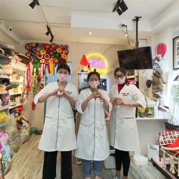 小熊萌犬屋(江宁店):南京市江宁区殷巷附近