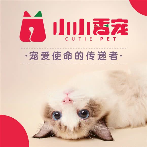 小小香宠(三里屯店):北京城区朝阳区三里屯/工体附近