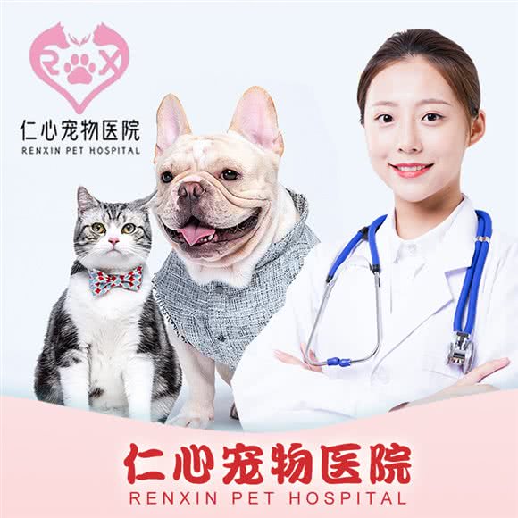 仁心宠物医院:南京市江宁区江宁大学城附近