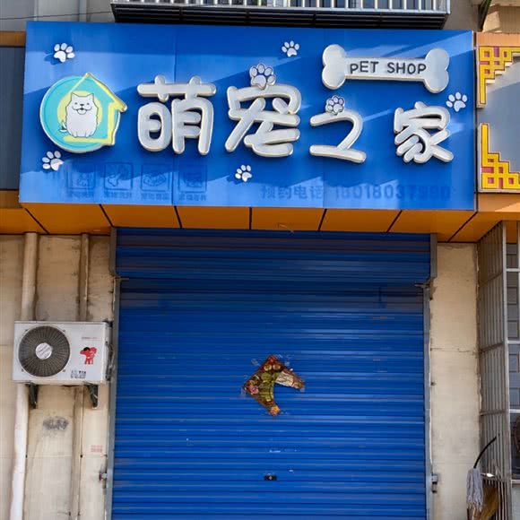 萌宠之家:南京市江宁区禄口机场附近