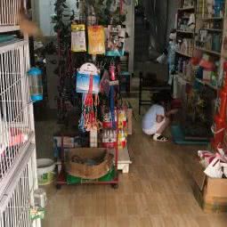 宠行天下:南京市江宁区麒麟门附近