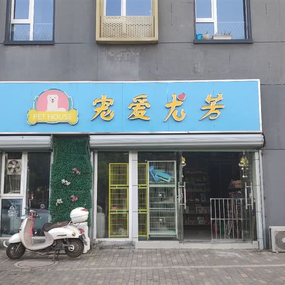 宠爱尤芳:南京市江宁区江宁滨江开发区附近