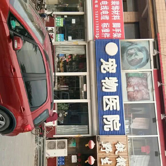 安琪佳宝宠物医院:北京城区房山区窦店镇附近