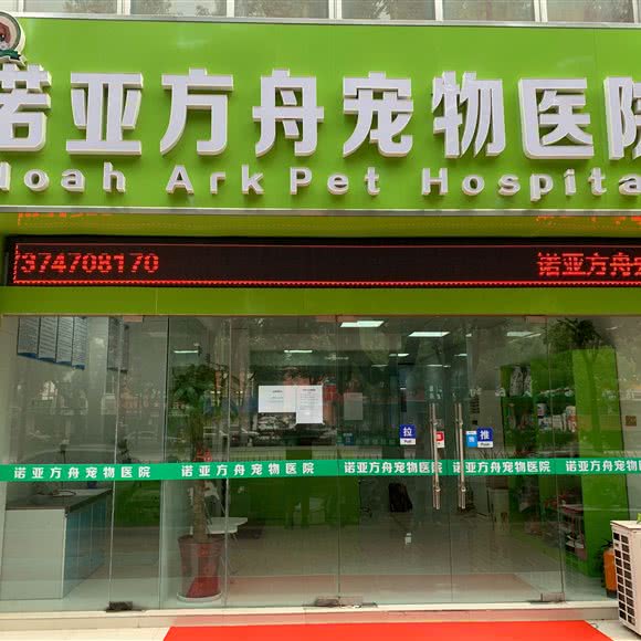 诺亚方舟宠物医院:南京市六合区新华西路附近