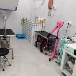 三蘇宠物店:南京市溧水区溧水区附近