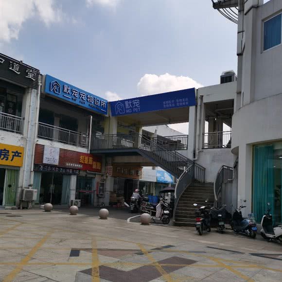 默宠宠物诊所:南京市溧水区溧水区附近