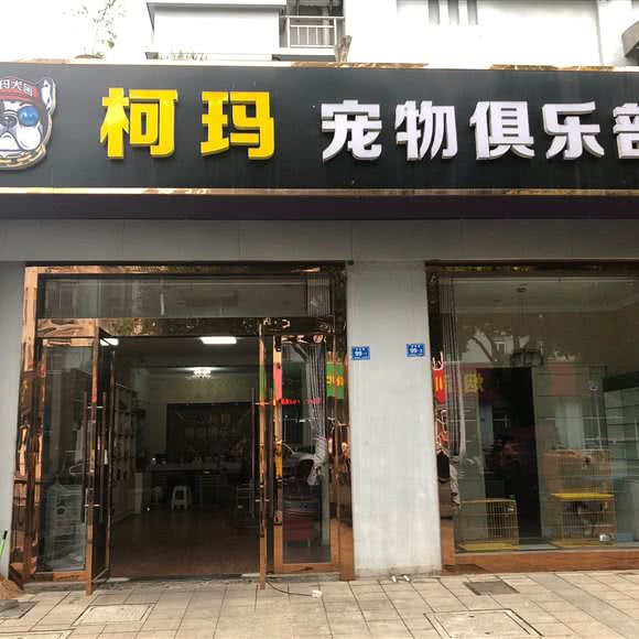柯玛狗狗俱乐部:南京市高淳区高淳区附近