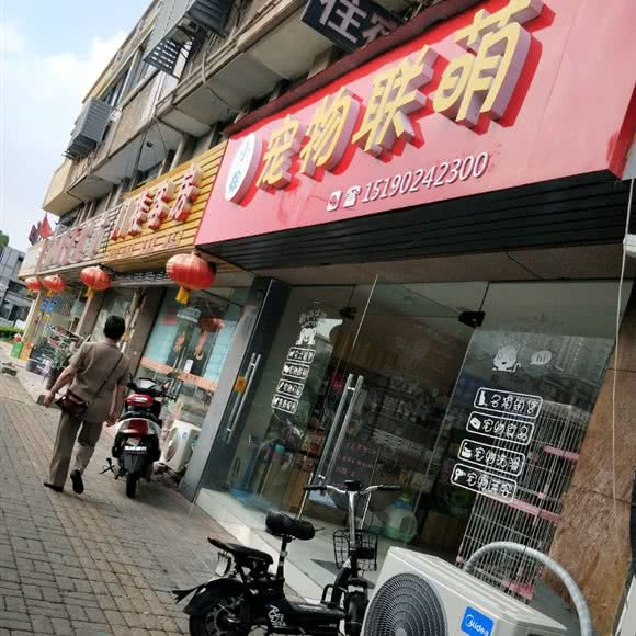 小徐狗狗联萌:无锡市锡山区东亭附近