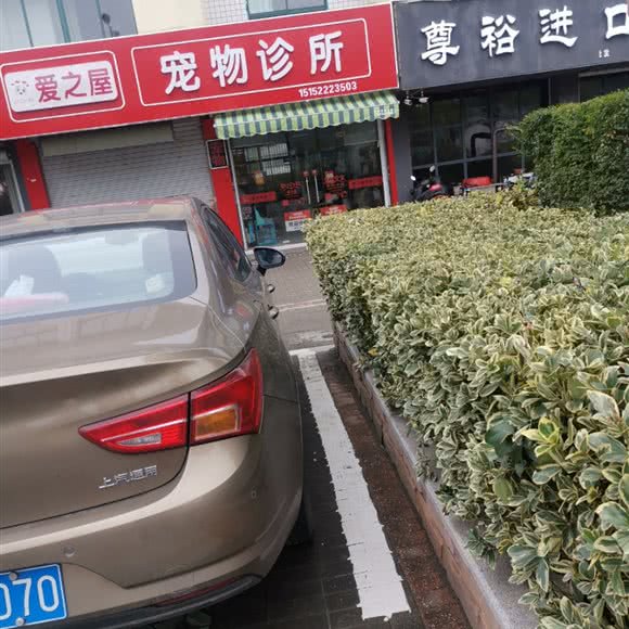爱之屋宠物诊所:无锡市锡山区安镇附近