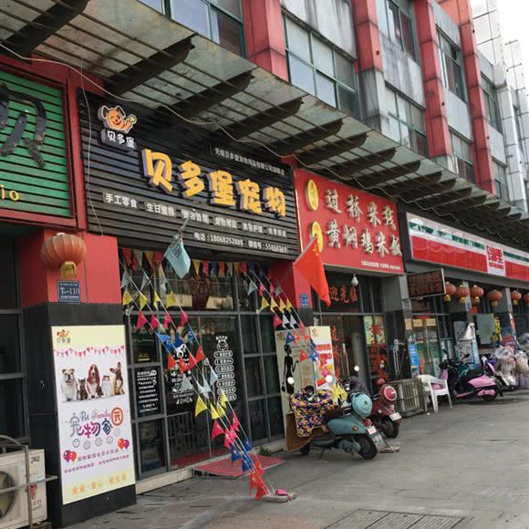 贝多堡宠物:无锡市锡山区东北塘附近