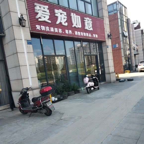 爱宠如意:无锡市锡山区张泾附近