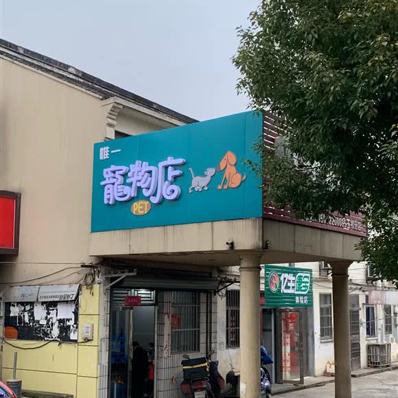 唯一宠物店:无锡市惠山区玉祁附近