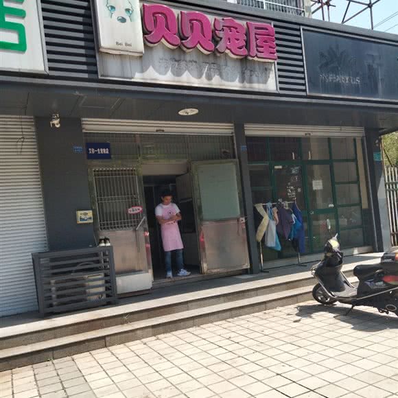 贝贝宠屋:无锡市惠山区前洲附近