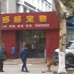 哆哆宠物:无锡市滨湖区河埒口附近