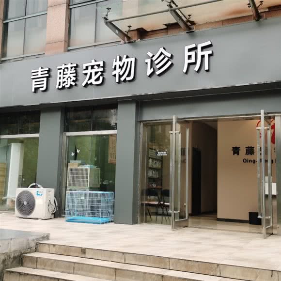 青藤宠物医院(猫科中心、外科中心):无锡市滨湖区河埒口附近