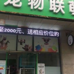 狗狗联萌:无锡市滨湖区中桥/湖滨商业街附近