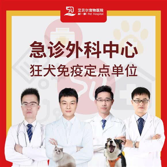 艾贝尔宠物医院(市民中心分院):无锡市滨湖区海岸城附近