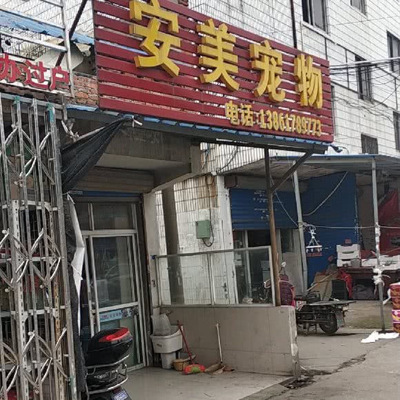 安美宠物(华庄店):无锡市滨湖区落霞苑/华庄附近