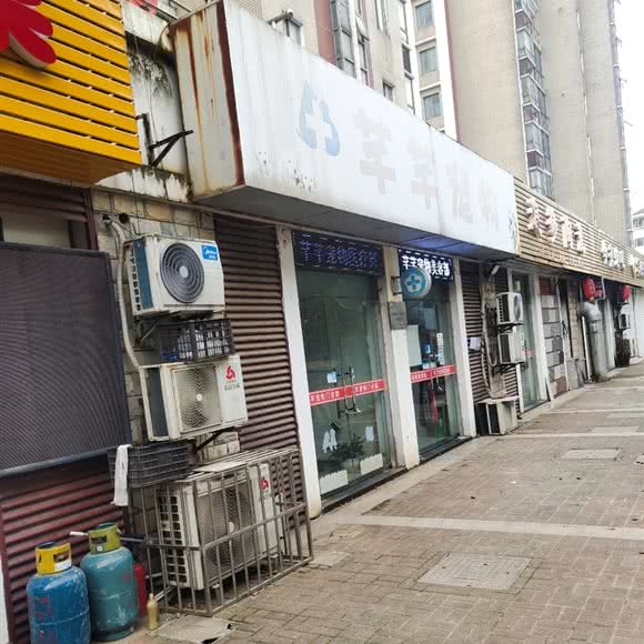 芊芊宠物(马山店):无锡市滨湖区灵山/拈花湾景区附近