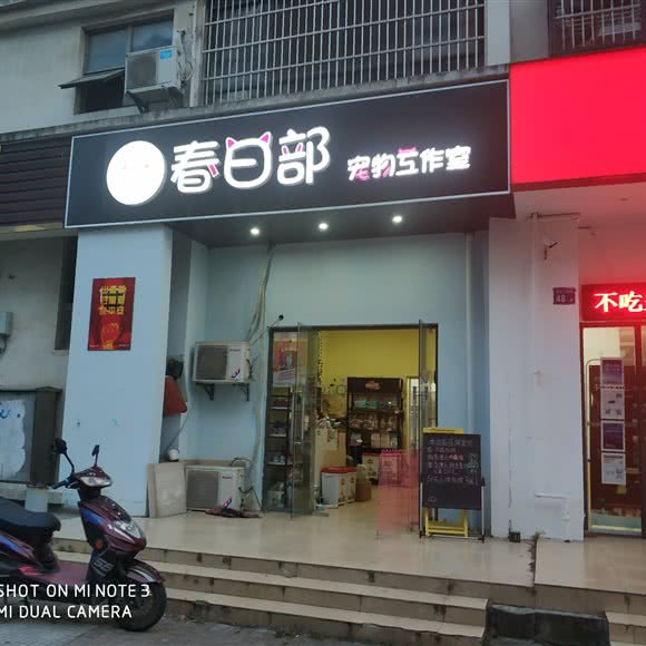 春日部宠物工作室:无锡市滨湖区梅园附近