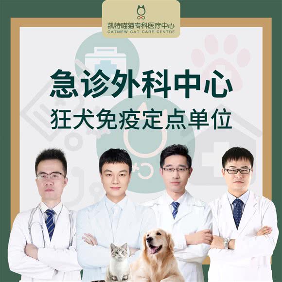 瑞鹏宠物医院凯特喵猫专科·爱猫医院(大通路分院,猫专科,24小时分院):无锡市滨湖区万科酩悦/东绛附近