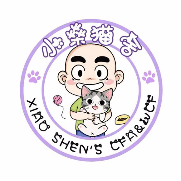 小燊的美短曼基康布偶猫舍:北京城区通州区九棵树附近