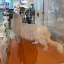 怪兽宠物(海岸店):无锡市滨湖区长广溪公园附近