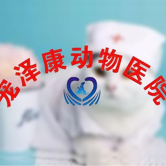 宠泽康动物医院:北京城区通州区九棵树附近