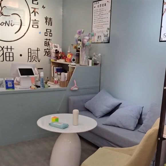 亮点萌宝狗狗会所:北京城区通州区通州北苑附近
