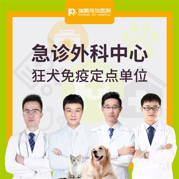 瑞鹏宠物医院·小动物救助友好医院(风光里分院):无锡市梁溪区清扬路附近