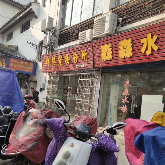 伴侣宠物(南禅寺店):无锡市梁溪区南禅寺/阳春巷附近