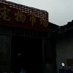宠物市场:无锡市梁溪区南禅寺/阳春巷附近