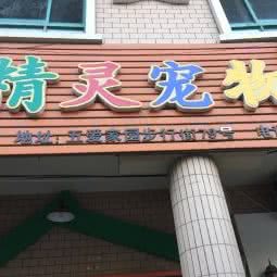 精灵宠物会所:无锡市梁溪区五爱路附近
