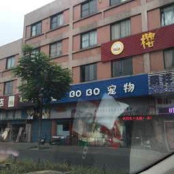 BOBO宠物:无锡市梁溪区锡澄路附近