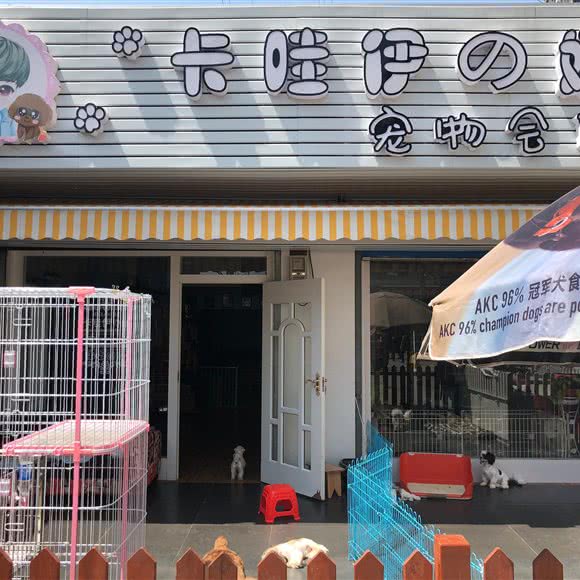 卡哇伊娜宠物会所:无锡市梁溪区锡澄路附近