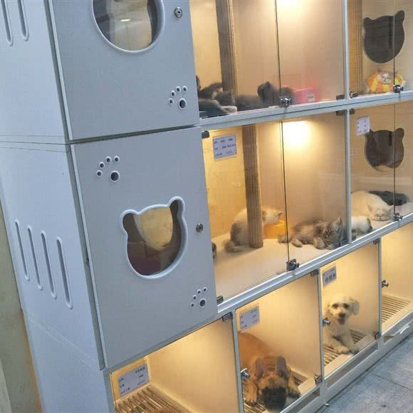 嘟宠(南下塘店):无锡市梁溪区南长街/南下塘附近