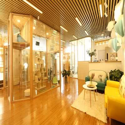 喵宁Cat hotel(通州富力店):北京城区通州区新华大街附近