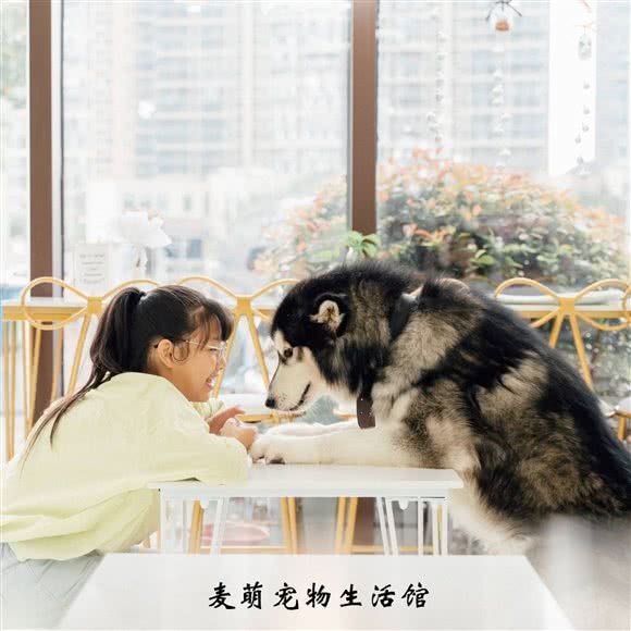 麦萌宠物生活馆·宠咖(金科世界城店):无锡市梁溪区中桥/芦庄附近