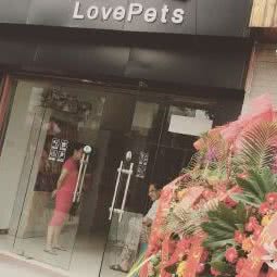 宠它Love pet:无锡市梁溪区中桥/芦庄附近