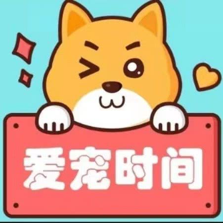 爱宠时间:无锡市梁溪区广瑞街道附近