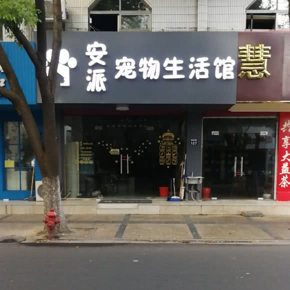 安派宠物生活馆:无锡市江阴市澄江街道附近