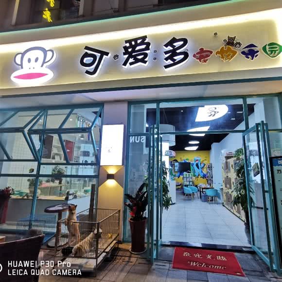 可爱多宠物乐园:无锡市江阴市澄江街道附近